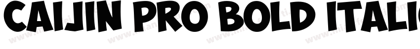 CAIJIN Pro Bold Italic字体转换